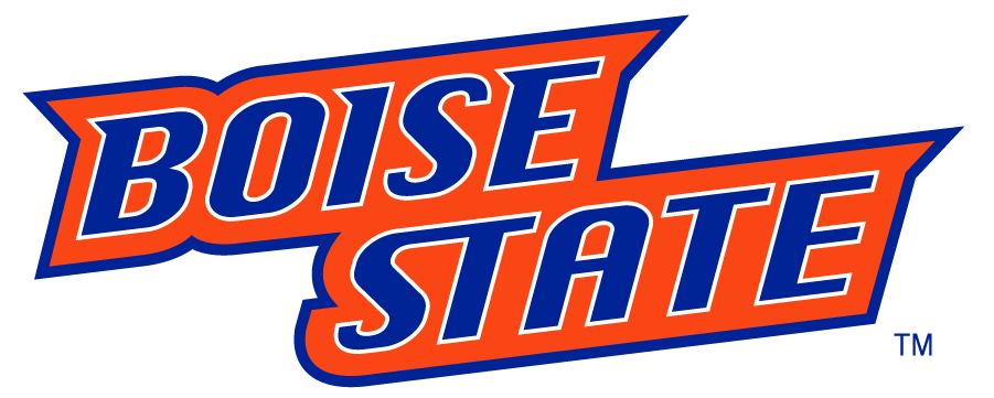 Boise State Broncos 2002-2012 Wordmark Logo v3 DIY iron on transfer (heat transfer)
